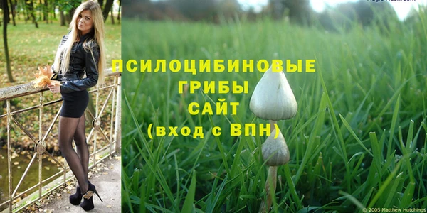 mix Пересвет