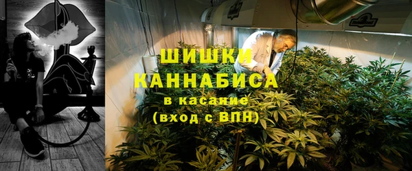 spice Пестово
