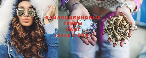 mix Пересвет