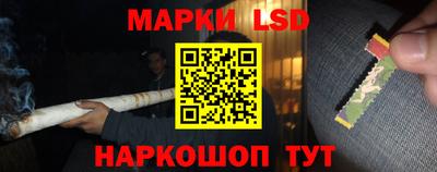 Альфа ПВП Малгобек