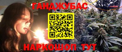 Альфа ПВП Малгобек