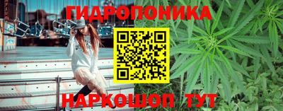 Альфа ПВП Малгобек