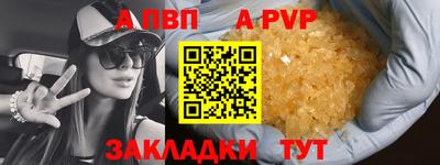 Альфа ПВП Малгобек