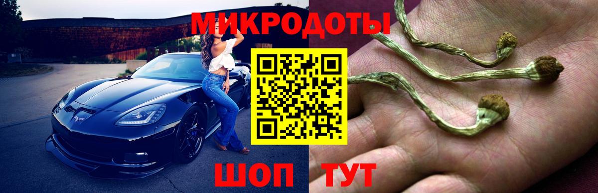 Советск  Галлюциногенные грибы GOLDEN TEACHER  Вход с VPN 