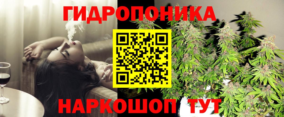 Шишки марихуана семена Советск